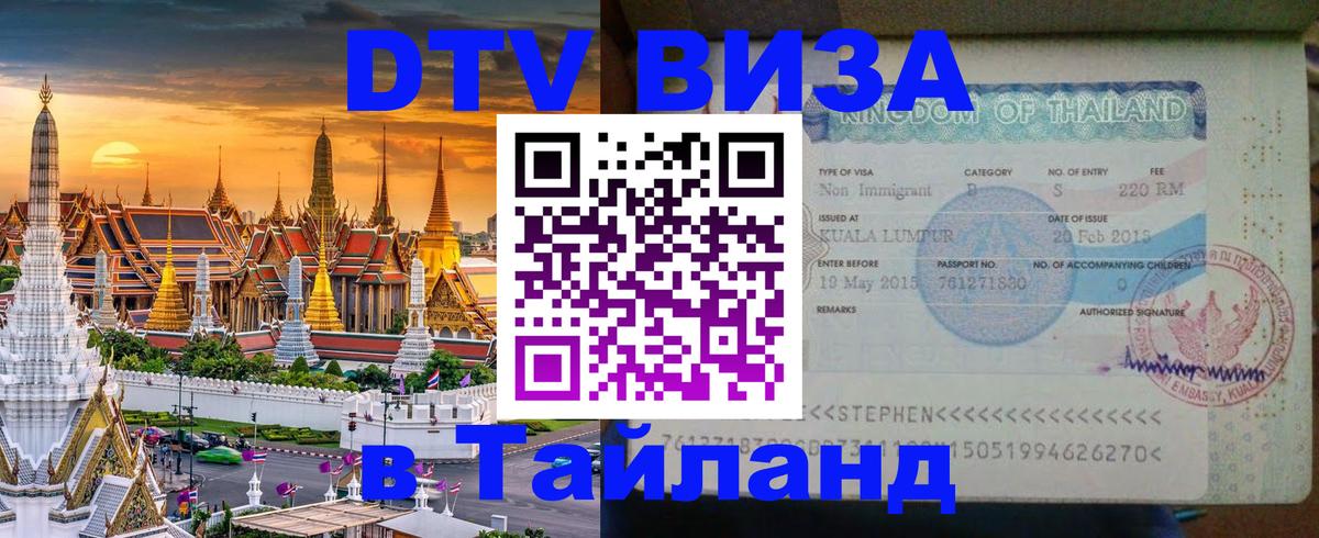 Сколько стоит DTV виза — актуальные цены, оформление даже без документов - Новосибирск  19.11.2025 